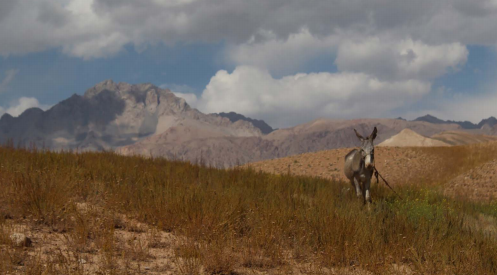 AntiquityJ's tweet image. #WednesdayWisdom is checking out our 🆕#ProjectGallery articles!
➡️@Katerina__Douka #FINDER_Project #Eurasia 
🌏bit.ly/2GB6Ytb 
➡️@wtt_taylor #prehistory 🐴🌾#SilkRoad  
🇰🇬bit.ly/2DWwVj9
&amp;amp; more!