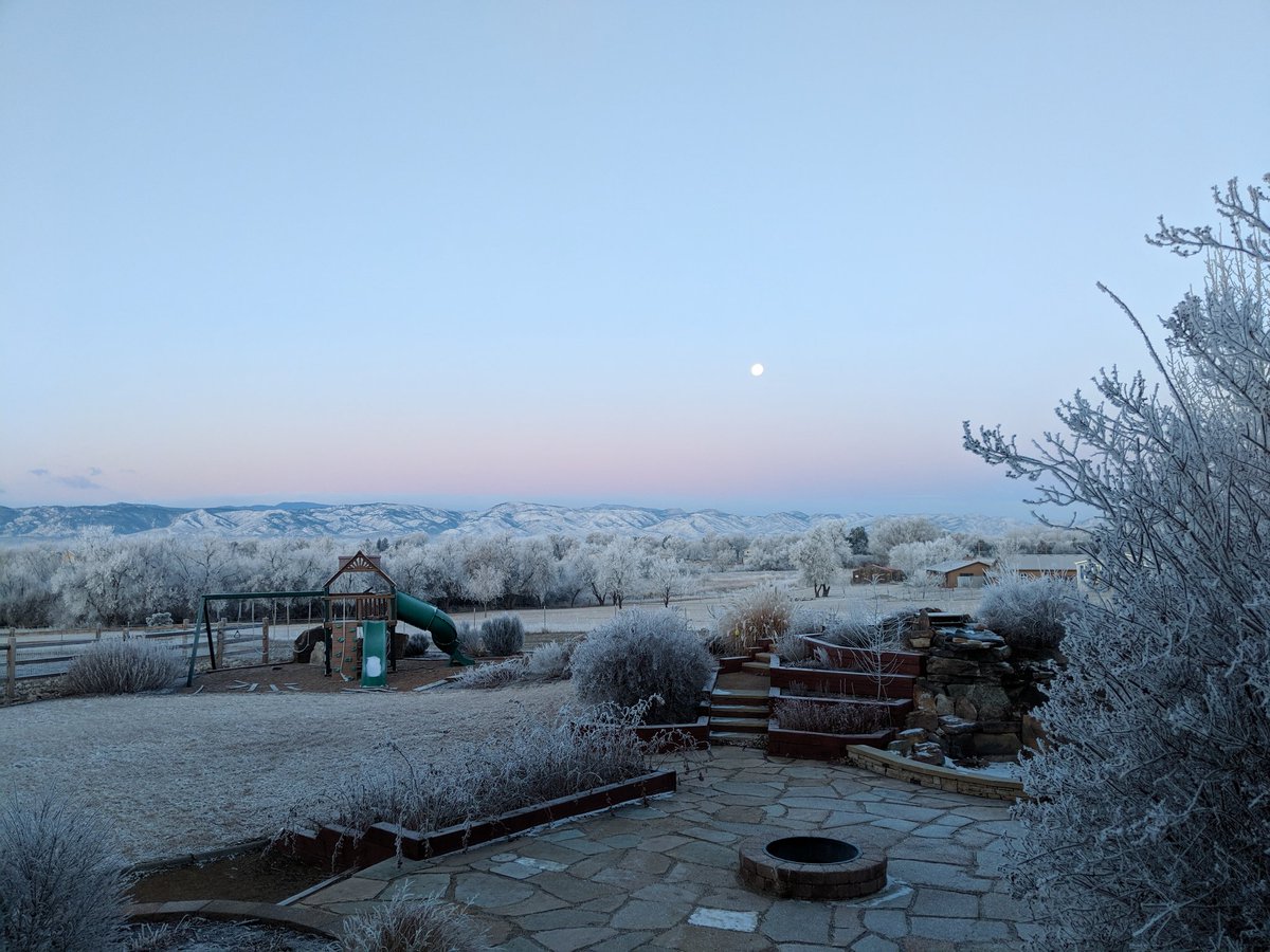 jess_askey's tweet photo. Brrrr... It's cold out there! #cowx #FortCollins #NiceMoon https://t.co/IYxa75U8q7