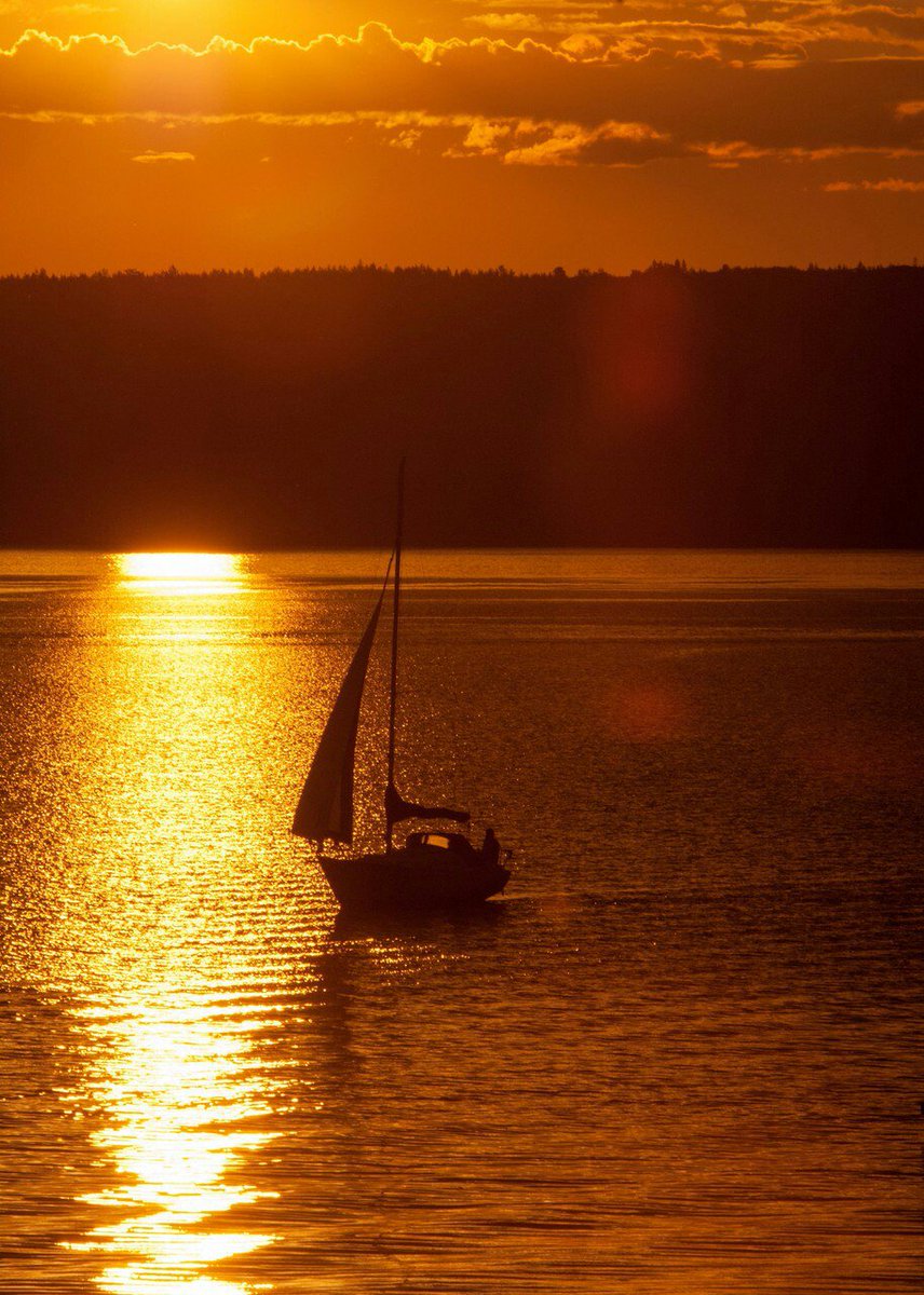 나무에 앉은 새는 
나뭇가지가 부러지는 것을
두려워 하지 않습니다.
그건 나뭇가지를 믿어서가
아니라
자신의 
날개를 믿기 때문이죠.
항상 당신 
자신을 믿어 보세요.
-내가 상상하면
꿈이 현실이 된다-중에서