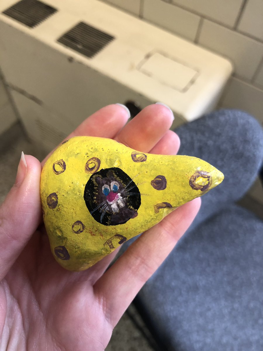 amandakline96's tweet image. @cmu_rocks found one in finch!