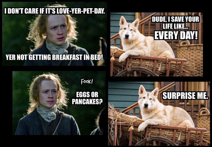 Today’s first #Outlander Love-Your-Pet Day rerun is from <a href="/LaughOutLander/">LaughOutLander🌮</a>; <a href="/JohnBell/">JOHN BELL</a> #Rollo  <a href="/RolloWolfDog/">Rollo Wolf Dog</a>  <a href="/JHooked1/">CuatroVax'd y Masking, 'ken</a> <a href="/OutlanderRollo/">Outlander Rollo</a>