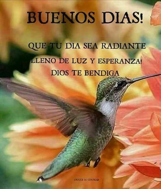 Loren Castillo no Twitter: "Buenos dias, feliz Miércoles, que nuestro dia  sea radiante, lleno de luz y esperanzas…Y en las benditas manos de Dios  pongamos nuestras vidas y demosle gracias por un