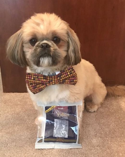tribunsanatiofc's tweet photo. Jax loved our scrumptious salmon snacks!

https://t.co/uQmnYWQZQP https://t.co/w8f19xDWxd