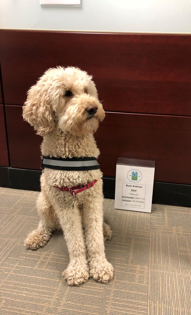 HUDREAC's tweet photo. In honor of #LoveYourPetDay, meet our #UPCSV “Passcot”, Buck Andrew! He keeps us on our toes as we work to make Housing Choice Voucher homes more decent, safe, and sanitary. Learn more about #UPCSV: https://t.co/fYEIcm3lY9 https://t.co/W6pOHQO0rB