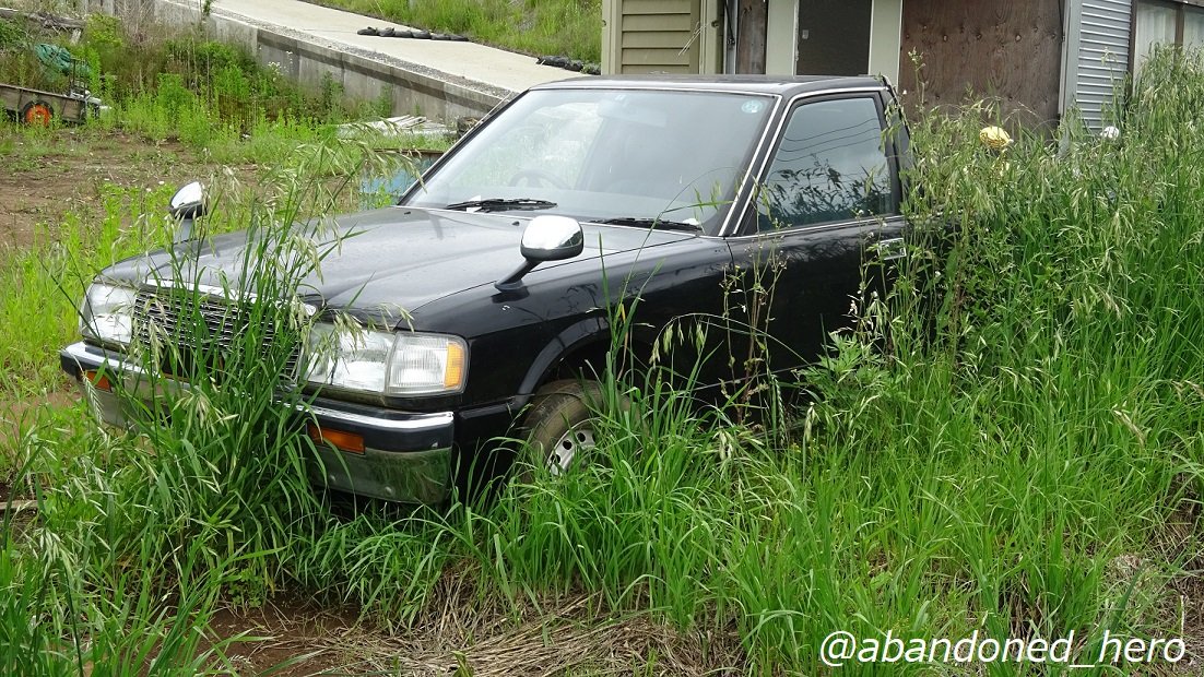 草ヒロ写真館byぱぁたん בטוויטר トヨタクラウン霊柩車 草に覆われた黒塗りのクラウン のピックアップトラック 微妙に残る金色の装飾を見ても明らかなように 元霊柩車 まだボディには艶も残り 廃車後そこまで時間が経ってる訳ではなさそうですが これはこれで