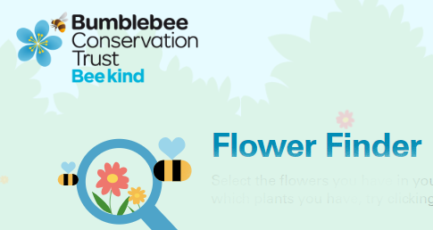 <a href="/InMidlands/">East Midlands in Bloom</a> @RHSBloom I hope there is lots of talk about bee friendly flowers and our new Bee Kind resource beekind.bumblebeeconservation.org
