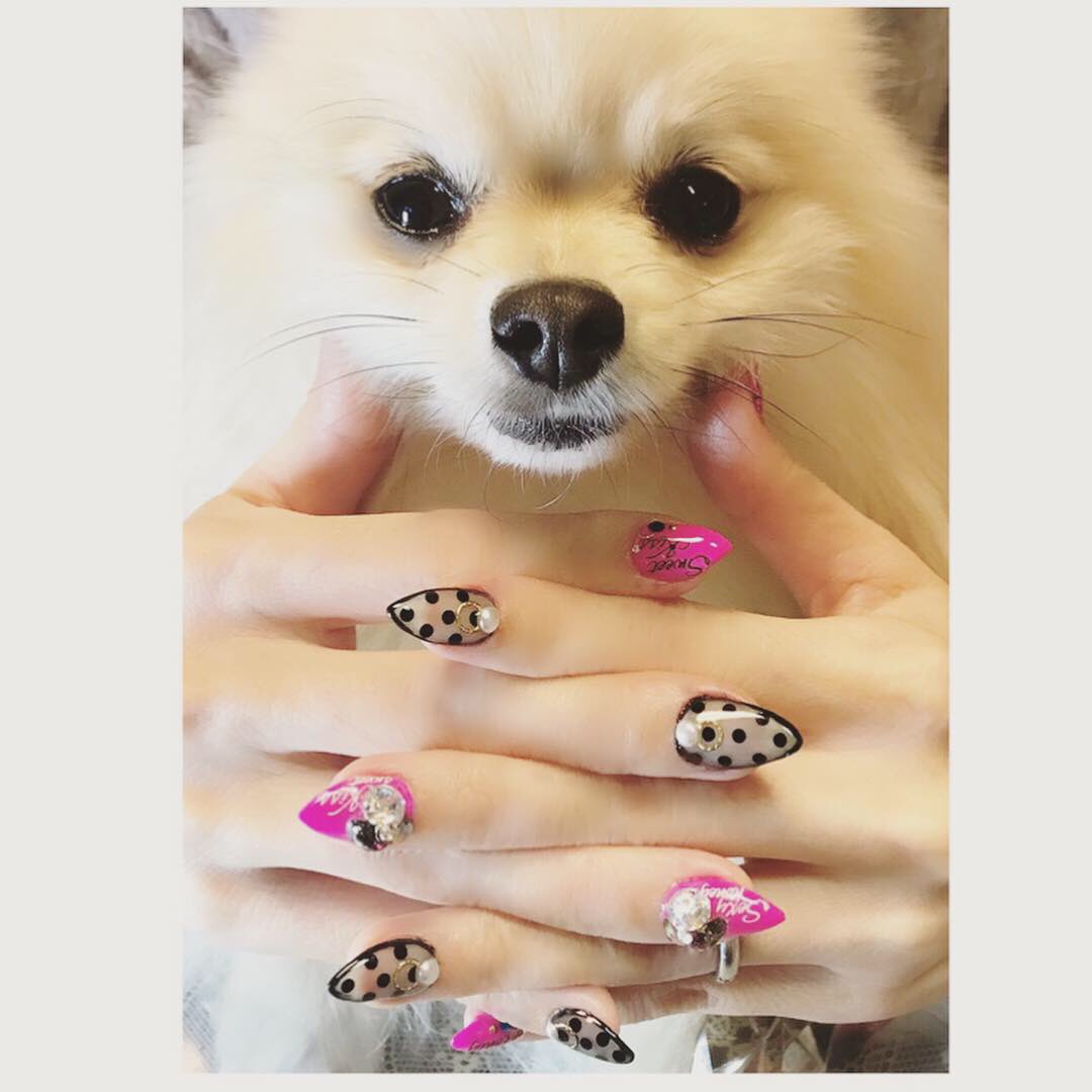 2tightKeiko's tweet photo. キメ顔ぷりんと #newmynail 💅🏻✨
スケルトンな #ドットネイル 💕
#blacknail #pinknail #dotnail
#skeletonnail #suwarohusukinail
#看板犬 #ポメラニアン #ポメ
#ぽめらにあん #ぽめ https://t.co/sdcgYf6XXc