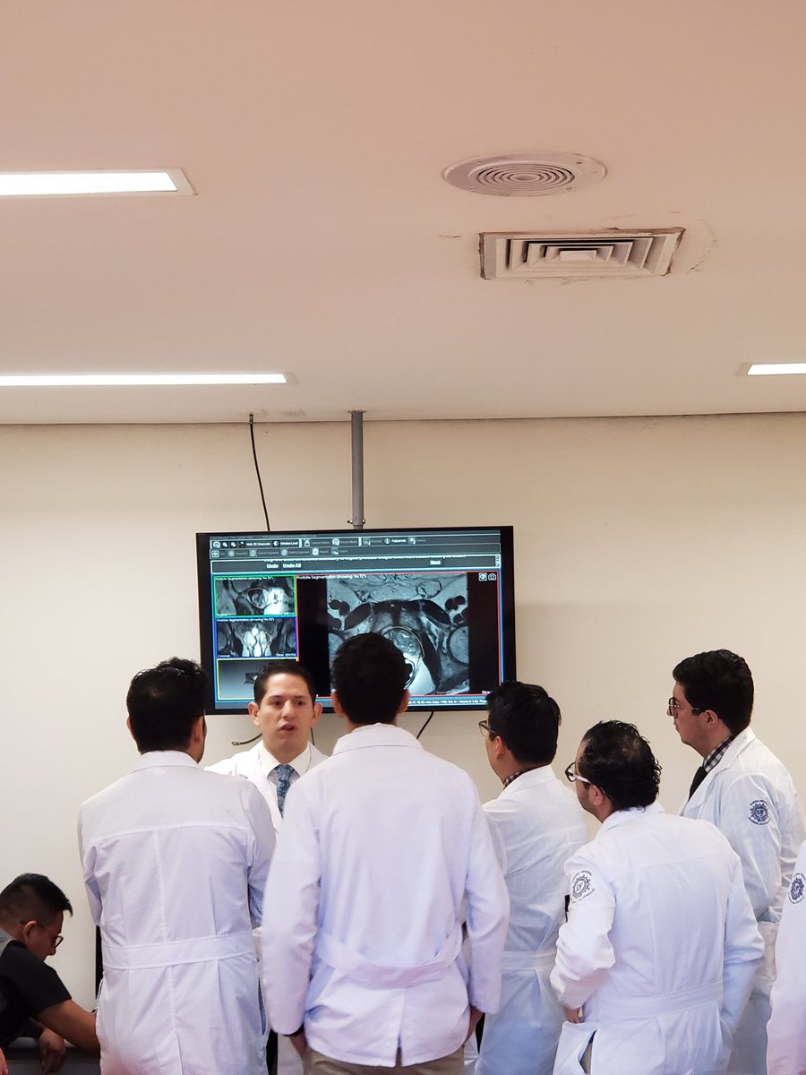 Aprendiendo a hacer segmentación #UroGea #UroHCM