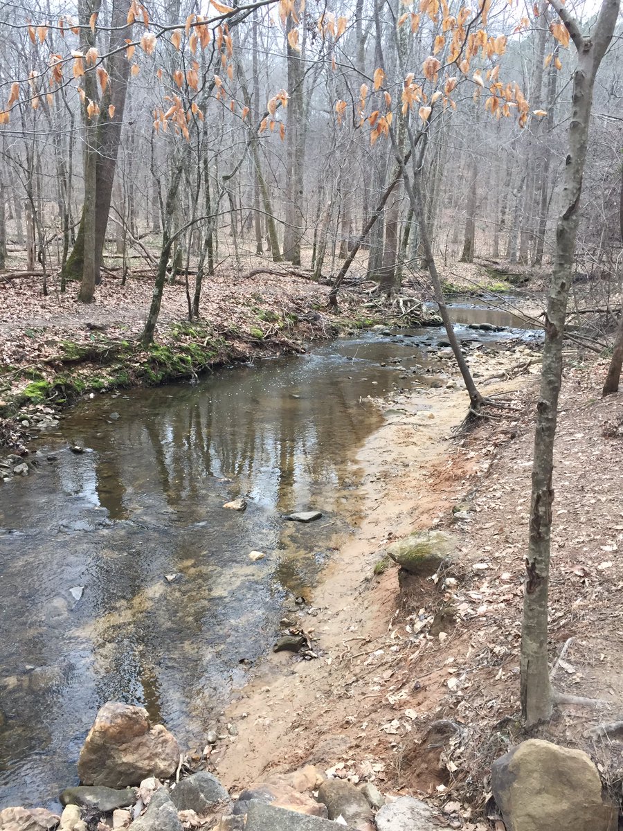 All prepped for <a href="/elonuniversity/">Elon University</a> Environmental Chemistry lab👩🏻‍🔬💦