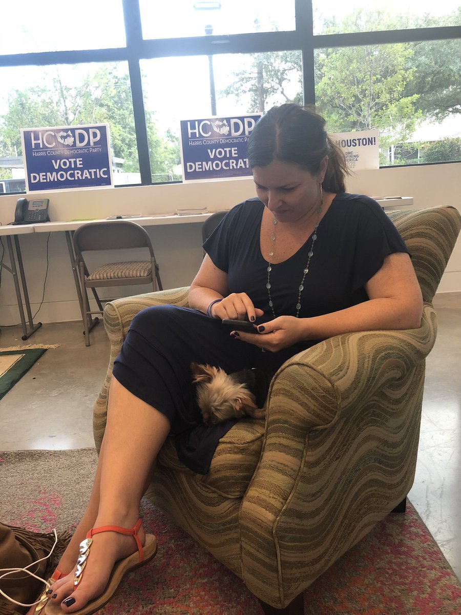 harrisdemocrats's tweet photo. Everyday is #LoveYourPet Day with Harlie and #TeamHCDP 💙 https://t.co/AIJY5OuQo7