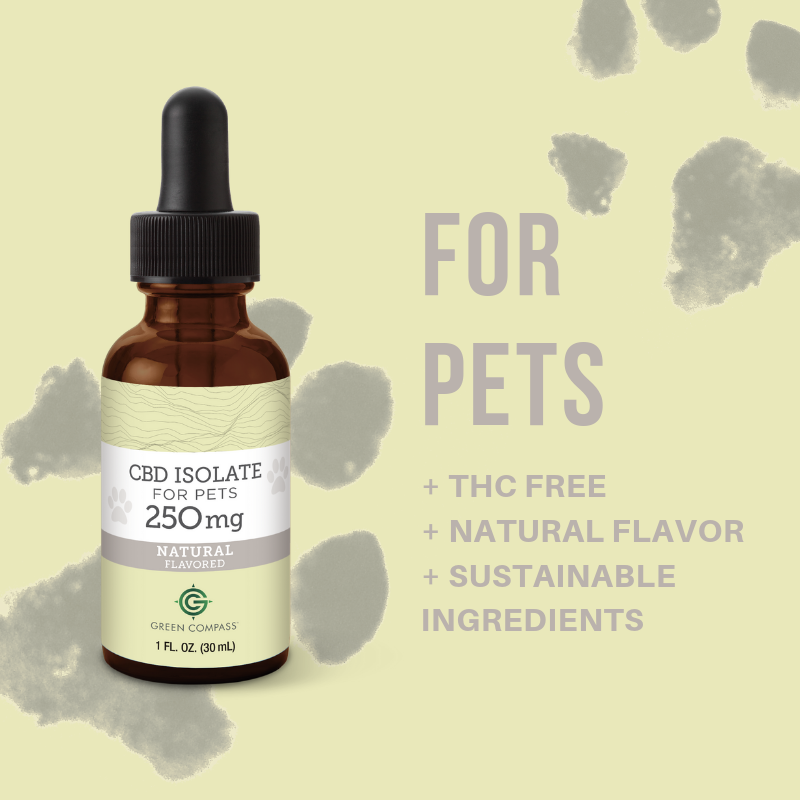 We're celebrating #NationalLoveYourPetDay! Tag us so we can see your #CBD-loving pets!

 #cat #catmom #dog #dogmom #pets #healthylifestyle  #loveyourpetday