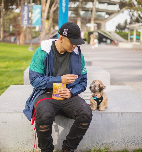 UCSDAdmissions's tweet photo. Spotted @therealfluffyluffy on Library Walk! Posting this snapshot to brighten your week. 🐶 #DogsOfUCSD | 📷: @2gspham https://t.co/Fojy9GbmGM