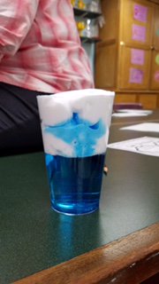 stclaresi's tweet image. #scsscience