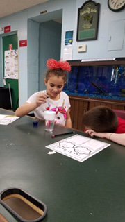 stclaresi's tweet image. #scsscience