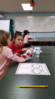 stclaresi's tweet image. #scsscience