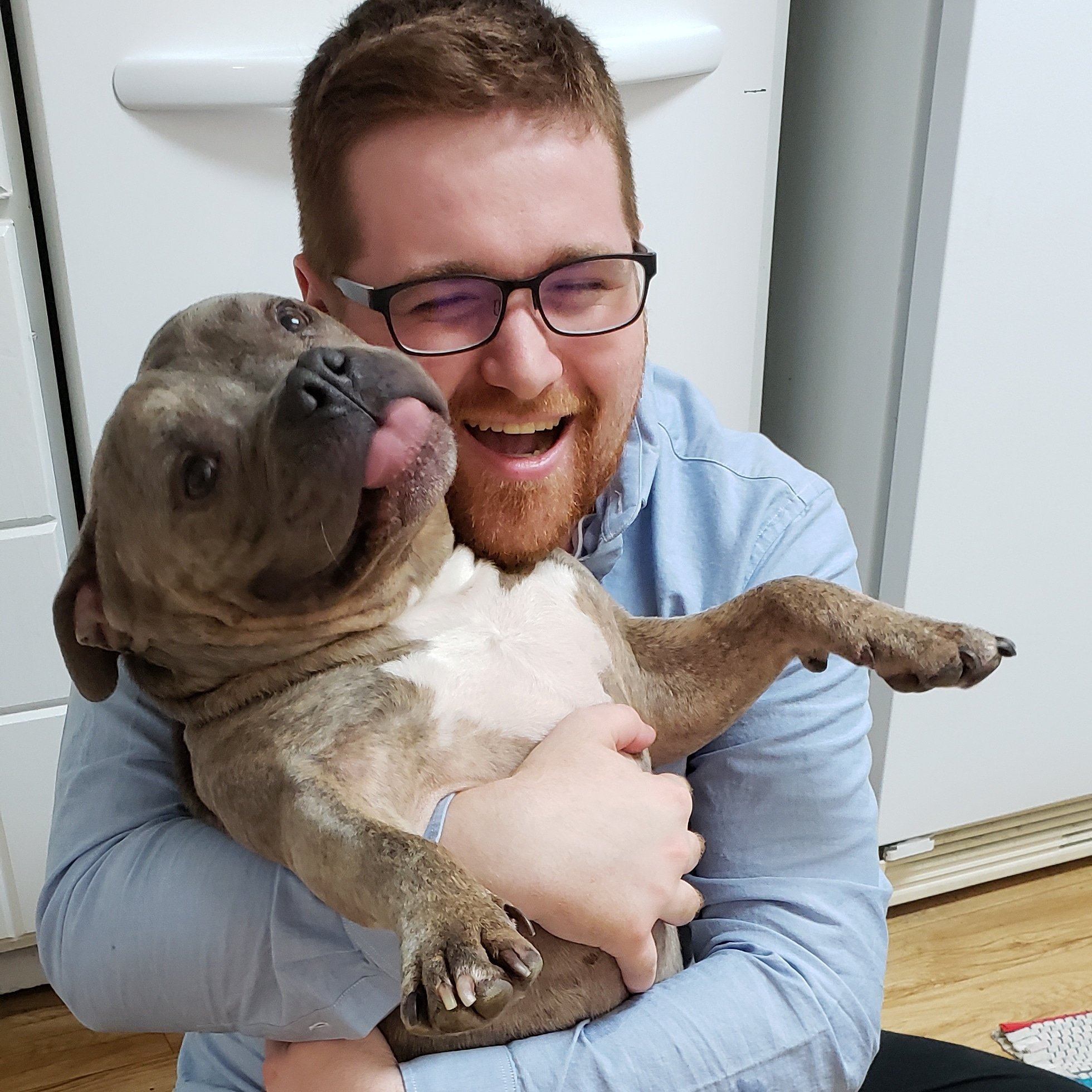 красивые собаки. Pet sending. Pet sending. Hello pet петы. Pet sending.