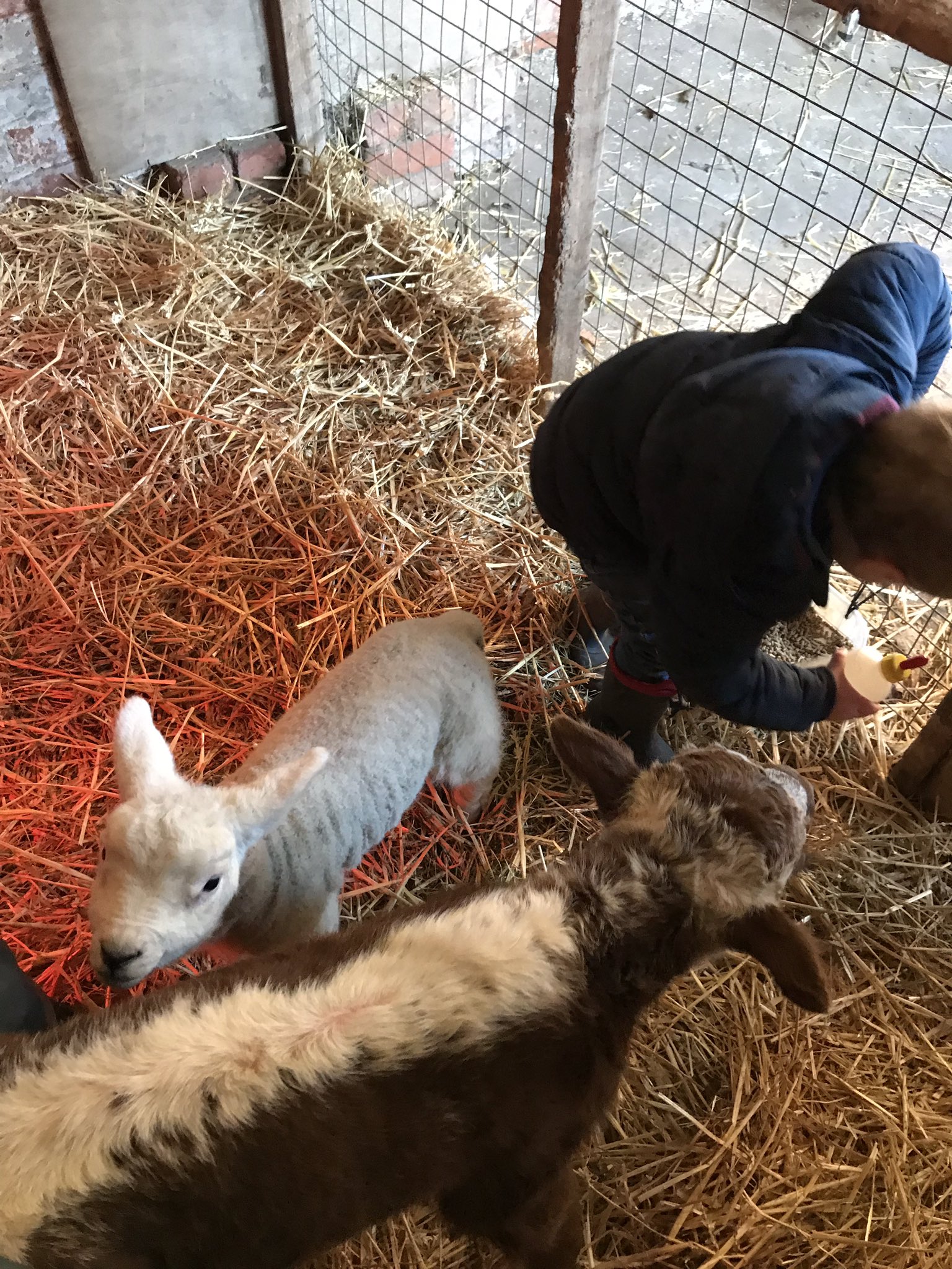 Tori Page'S Unforgettable Farm & Beach Experience - z10nq94