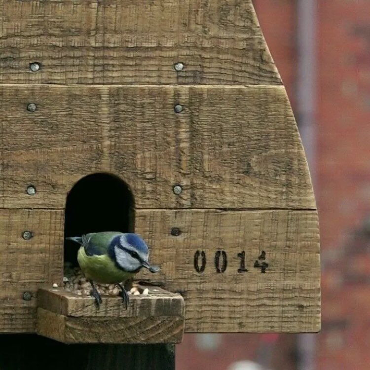 Celebrating #staffordshirehour &
#HandmadeHour this week by reintroducing our popular #Bird Feeder #bottlekiln planters into the #TheStoke2000 collection; Delivery and click & collect now available here: ebay.co.uk/usr/shine-in-m…... (#socent #SOTCulture #letstalkaboutstoke)