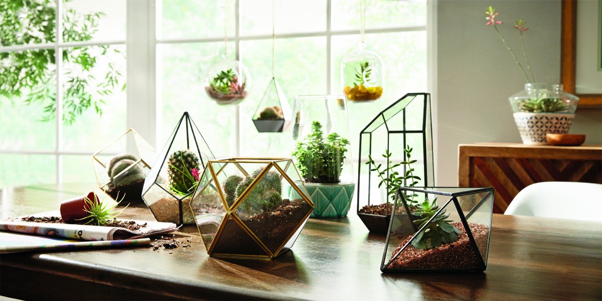 The Home Depot tweet media