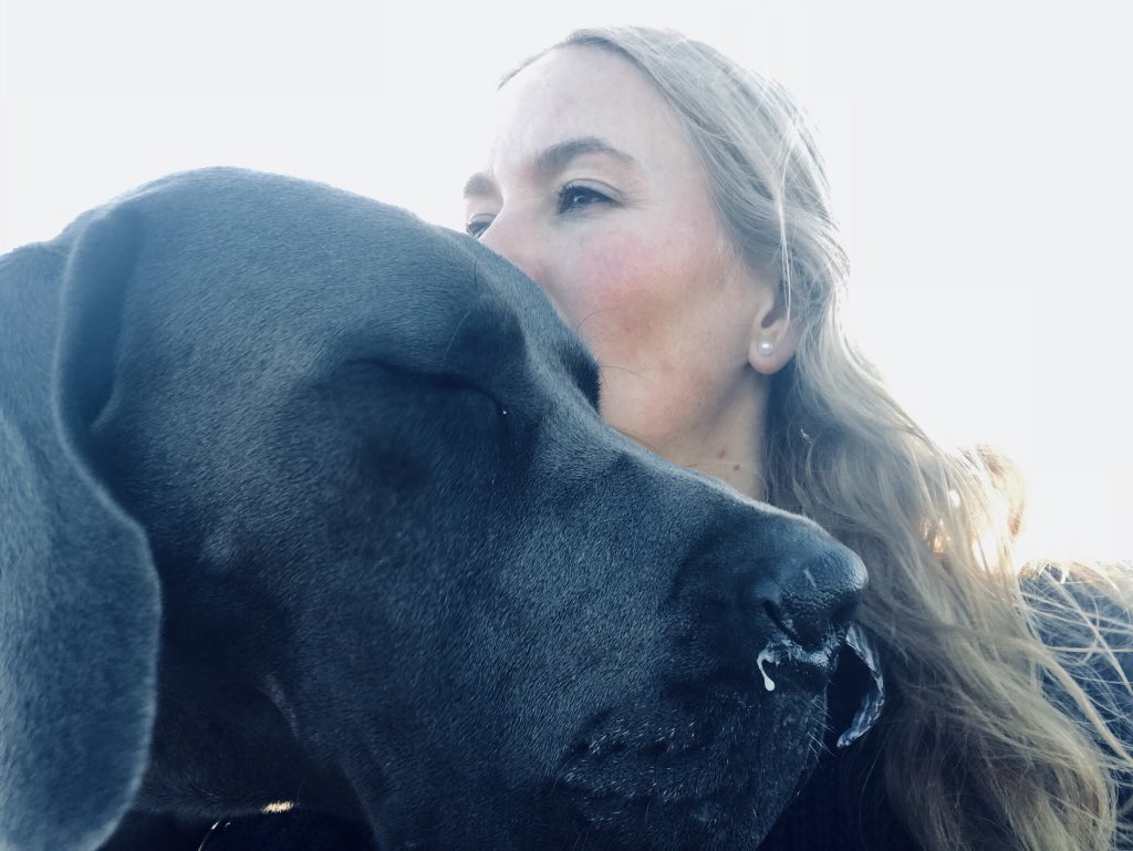 WorldlnFocus's tweet image. It would be too bad to leave my lovely boys out of #LoveYourPetDay