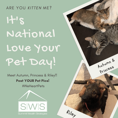 summitstl's tweet photo. National Love Your Pet Day! #SWSpets #WeLovePets #Companions #Pets #Petsofinstagram https://t.co/oK9YLDsBtT