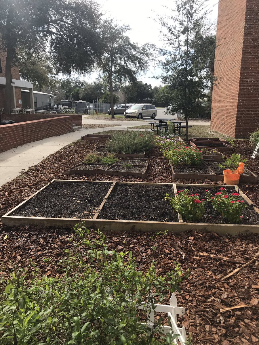 Live.Life.Healthy tweet media