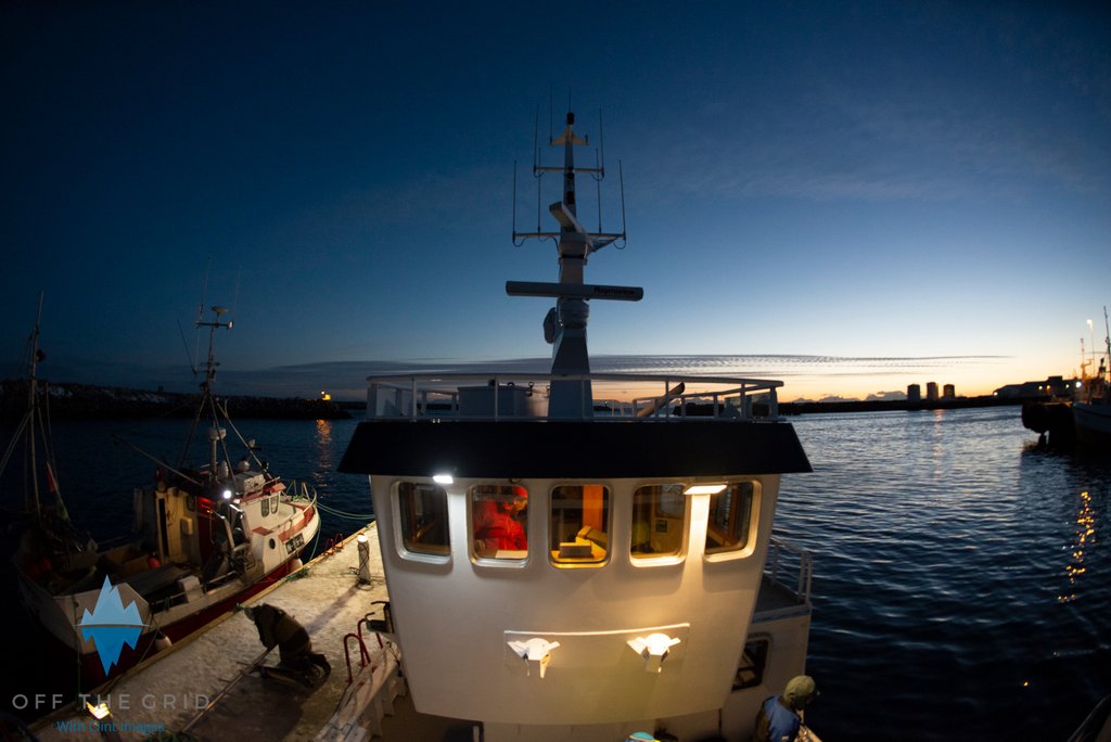 clintImages's tweet photo. A cold morning in Norway, about to go out looking for orcas, with @northernexplorers7777 

Photo by @clintimages
@lens_pimp Nikon 14-24mm

#offthegrid #northernexplorers #norway #ice #wildlife #fjord #arctic #arcticadventures #adventure #travel #explore #sunrise https://t.co/NBq1sqfEU0