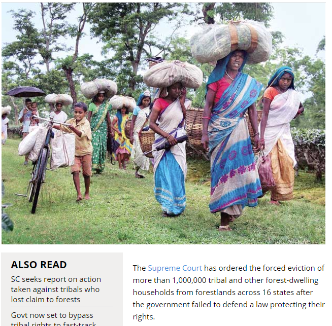 terence_fdes's tweet photo. #Day607 
#SaveAareyForest #SGNP
#SaveIndiasForestDwellers WHO HAVE PROTECTED OUR FORESTS FOR CENTURIES

More than 1 Million Tribals will be EVICTED By July 27th (and lot more)

#SupremeCourt Sold Out to the #DevelopmentLobby of @BJP4India 

https://t.co/M91vpeO8Yw https://t.co/WE6KXmfDm8