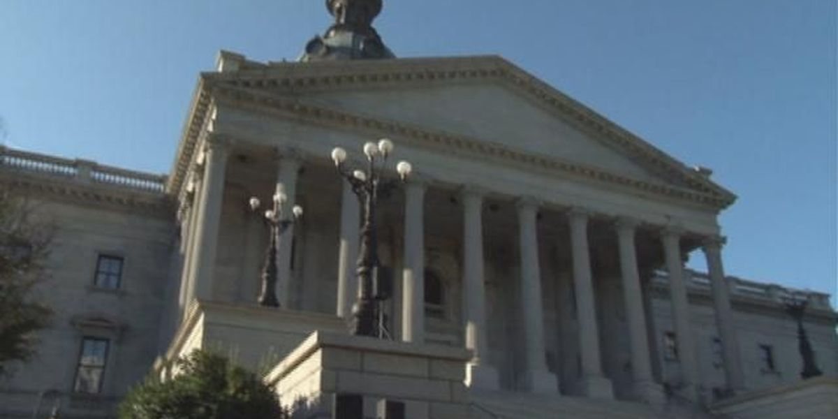 SCFSC's tweet image. We have an eye on the Statehouse and S191. The bill would supply the same support for kinship caregivers as foster parents. The Foundation is sponsoring Kinship Care Day at the Capital on March 19th to shine the light on the skyrocketing number of kinship care cases in SC.