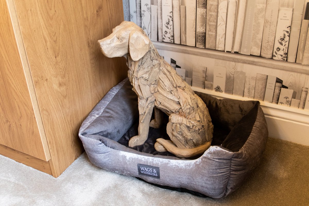 EdenstoneGroup's tweet image. It’s #LoveYourPetDay! Thanks to @DogsTrust for these #toptips on moving home with dogs bit.ly/2V89wSy  #movinghack #petsarefamily #WednesdayWisdom