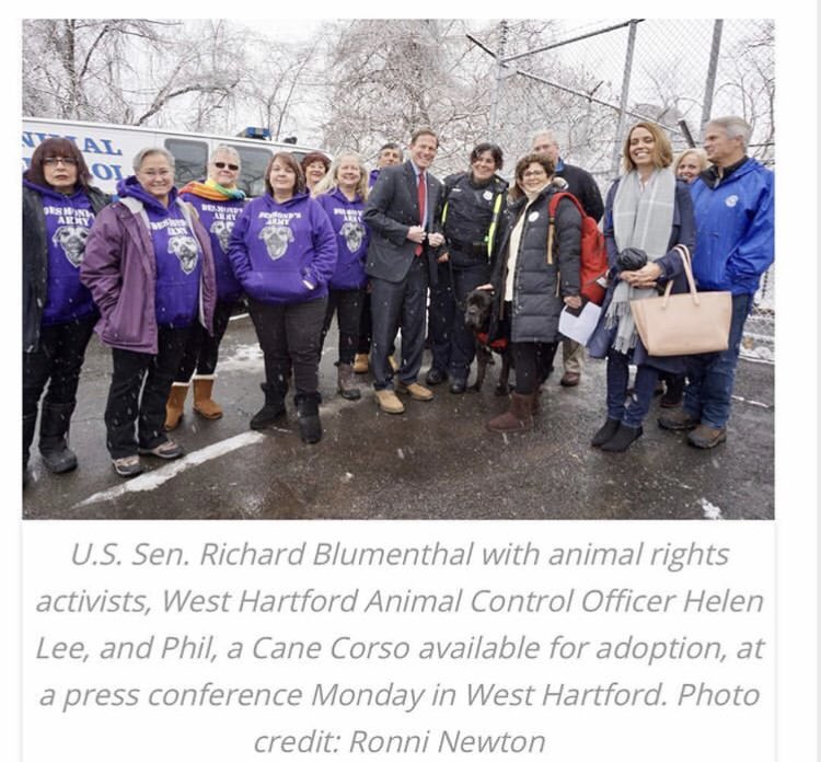CVFA's tweet photo. A big thanks to @SenBlumenthal for his efforts to stop the heinous practice of animal crushing with adoption of the Prevent Animal Torture and Cruelty Act (PACT). @cthumane @HumaneSociety @DesmondsArmy #pact #animalprotection #senatorblumenthal #hsus #desmondsarmy #CVA https://t.co/eUsSmbZNVM
