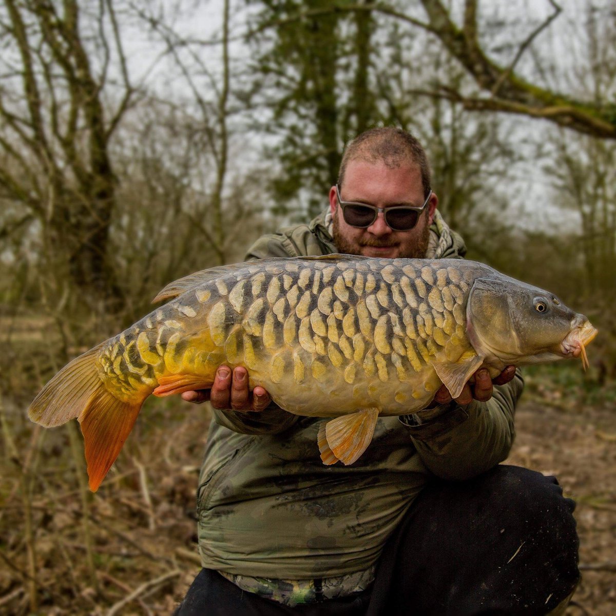 LacCoronCarp's tweet image. So last night I managed to bank the fully. When I saw those scales roll over the net I let out a big roar and an even bigger smile!

A little over a year ago we didn't even think this fish had survived its stocking. I didn't bother weighing it as I just don't care #coronvibe