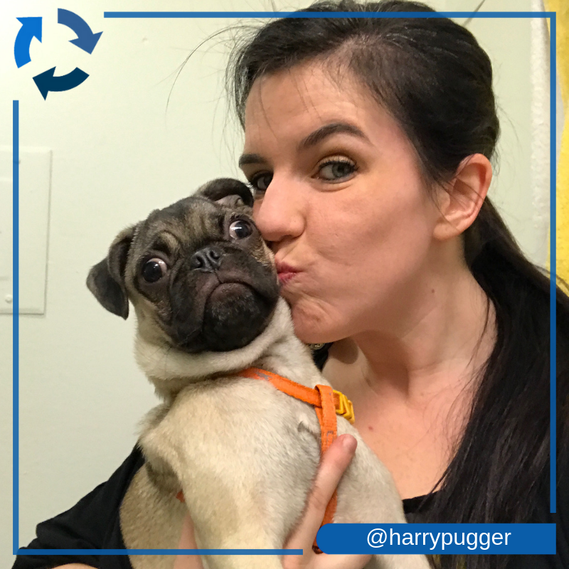 NationwidePet's tweet photo. Member Harry is smothered in kisses EVERY DAY by his owner, and #NationalLoveYourPetDay is no exception! Show us how much you love your pet! Tag us on Insta for a chance to appear in our stories today: https://t.co/hEPdvY8d4S #NationwidePet #PetsofNW https://t.co/gEIbavgZn4