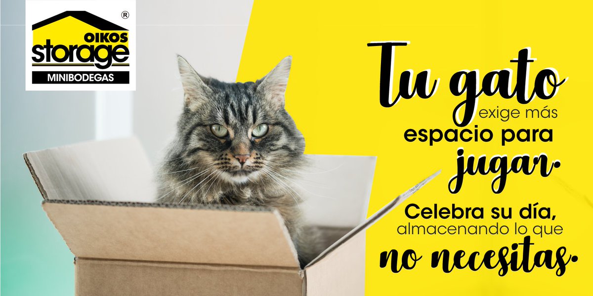 oikosstorage's tweet photo. Es hora que el peludito de la casa tenga su lugar, llévalo todo a #OikosStorage.
Conócenos https://t.co/57r45OFkzV
#DíaDelGato #Gatos #Bodedas #Minibodegas #Autoalmacenamieto #Alquiler #MásEspacioCarnavalero https://t.co/hnwF1cflcY