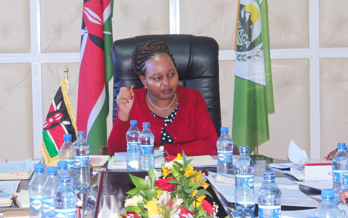 AnneWaiguru's tweet photo. Chaired a CEC meeting where members approved the roll out of Kiri-Care, Kirinyaga's health insurance fund; as part of the Big 4 Agenda on Universal Health Coverage. Kiri-Care registration is ready to begin with the official launch of the pilot set for July.
#KirinyagaRising https://t.co/Bhy7La6SAI