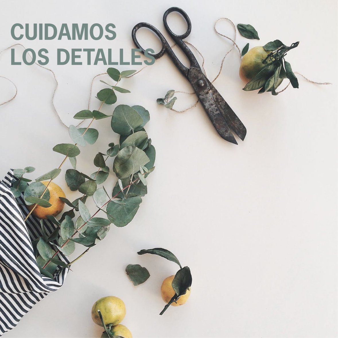 ManinInterioris's tweet photo. Mimamos los detalles para que tu solo te preocupes de disfrutar #interiorismo #reforma #obra #obras https://t.co/SiYZer8Vy6