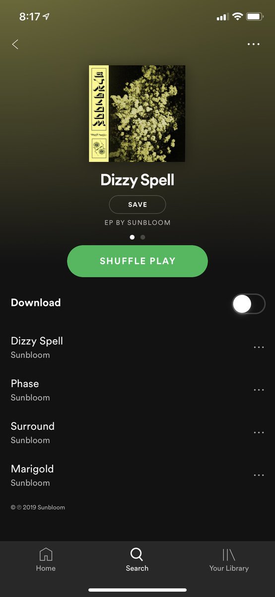 Sunbloom “Dizzy Spell” Ep Now available on all streaming platforms! 🌼🌼