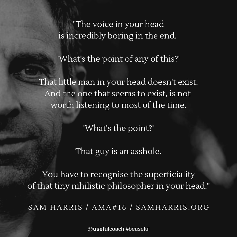 usefulcoach's tweet photo. "You have to recognise the superficiality of that tiny nihilistic philosopher in your head." - Sam Harris (@samharrisorg)

#beuseful #mindfulness https://t.co/FfcY5h95VM