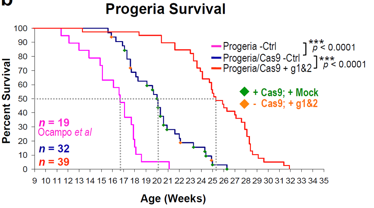 Progeria Life Expectancy Graph