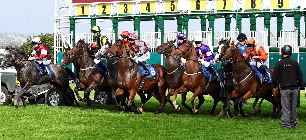 salisburyraces photo