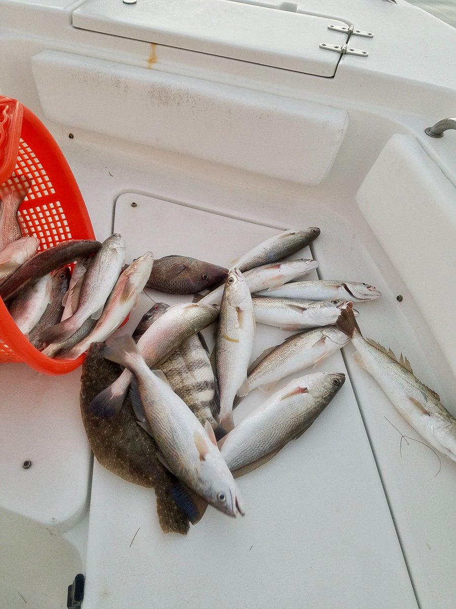 CharterHook's tweet image. Bay Pines, FL - February Nearshore Action
Report with Captain Kevin Wissing
🎣 bit.ly/wissing02182019
BOOK ONLINE 
👉 charterhook.com

#charterhook #baypines #florida #catchon #inshore #sheepshead #silvertrout #charterfishing #poweredbycaptains