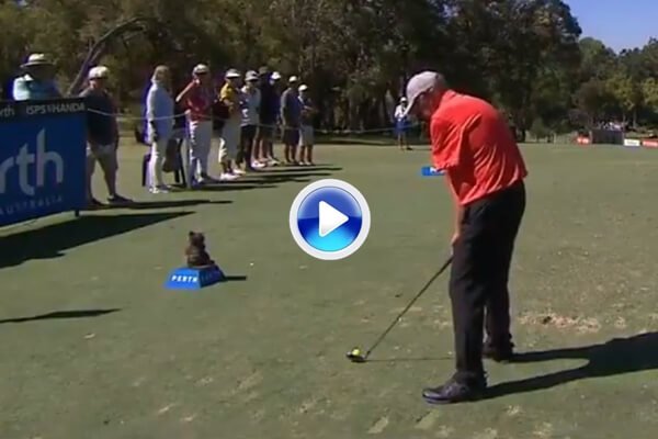 opengolf_news's tweet image. Tony Coates, jugador con un solo brazo, se enfrentó a los "Pros" en el World Super 6 Perth #WS6Perth #Golf #beatthepro (VÍDEO) goo.gl/STRFpA