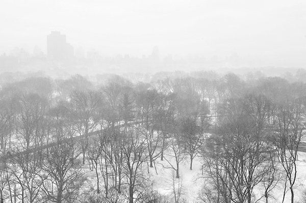 SVA_News's tweet photo. Attn: ⚠️⛔️ #SVAcommunity, we're closing early today: Due to inclement weather, all #SVA classes scheduled to meet after 3:00pm are canceled. Be safe out there. ❄️🌨️ https://t.co/zaB6T9WUyY