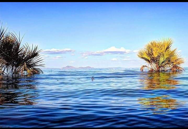 mercykiyonga's tweet photo. Amazing turkanaland😍😍@tunajibu
@stegrahotel @CampCradle @magicalkenya @Turnup_Travel @MuthuriKinyamu @sekuwom @thomseba @JamboMagazine https://t.co/6vKAB23dfv