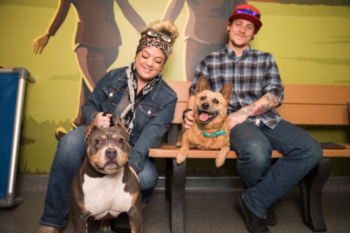 bestfriends's tweet photo. There was some serious #love in the air last week! Here are some of the love connections that were made for #ValentinesDay @BFAS_UT, just in time for #LoveYourPetDay. #SaveThemAll #NoKill2025 ^ND https://t.co/bHBkM9PEkU