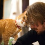 Photo by PPC Cat (@ppccat)