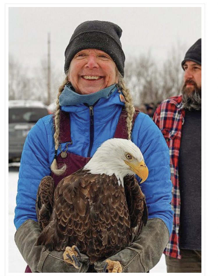 harborlightnews's tweet photo. A wonderful story about #secondchances when a #baldeagle got rescued and released. Read more here: https://t.co/83T7Vo0ps0 #harborsprings #PureMichigan #eaglerelease #LoveWhereYouLive #WingsofWonder https://t.co/b2FiezovAA