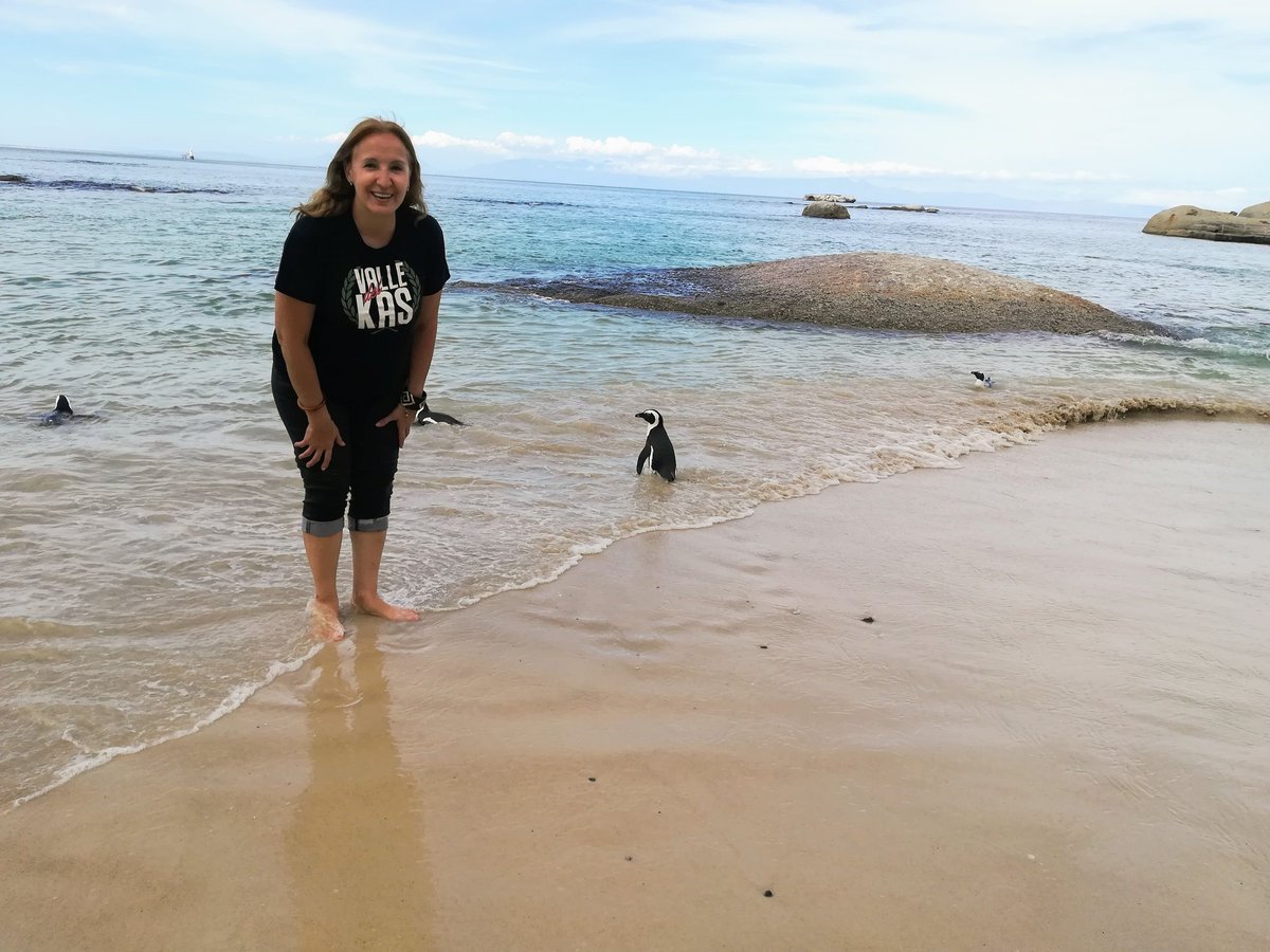 AMediero's tweet photo. @WearingdelKas en #Sudafrica #bouldersbeach pingüinos https://t.co/LsSIRkOgWK