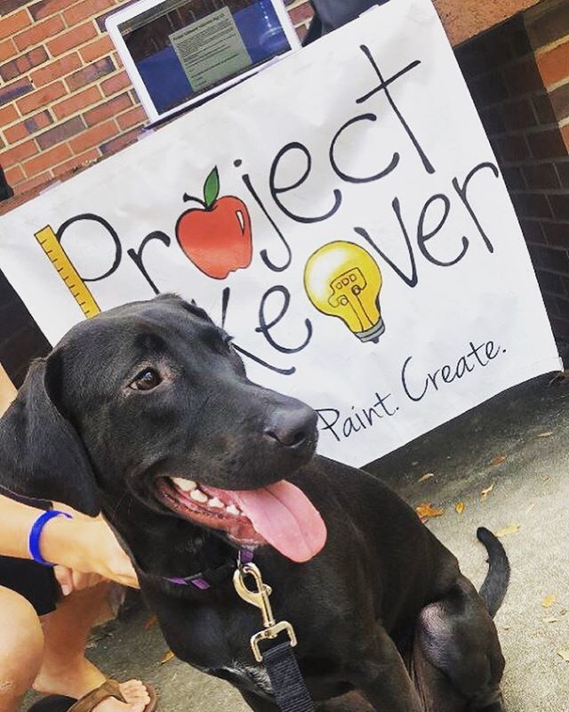 projectmakeover's tweet photo. Pups support PM, so you should too! Visit our bio to sign up for Makeover Weekend🐶#whyimakeover19 #PM https://t.co/qjxdgvovFN