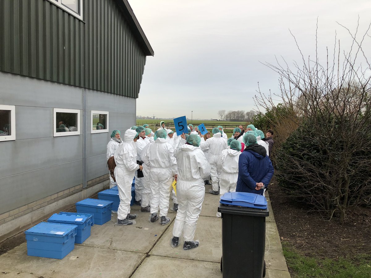 EU witte jassen brigade ook weer wezen oefenen voor MKZ uitbraak. Nuttig, op enkeling na weten ze alleen van papier wat het is!  Preventie blijft belangrijk, er zitten bijna 200 andere UBN met rund, geit of schaap in onze 3 km zone. Zelfs 23 varkensbedrijven. #meerdanikdacht.